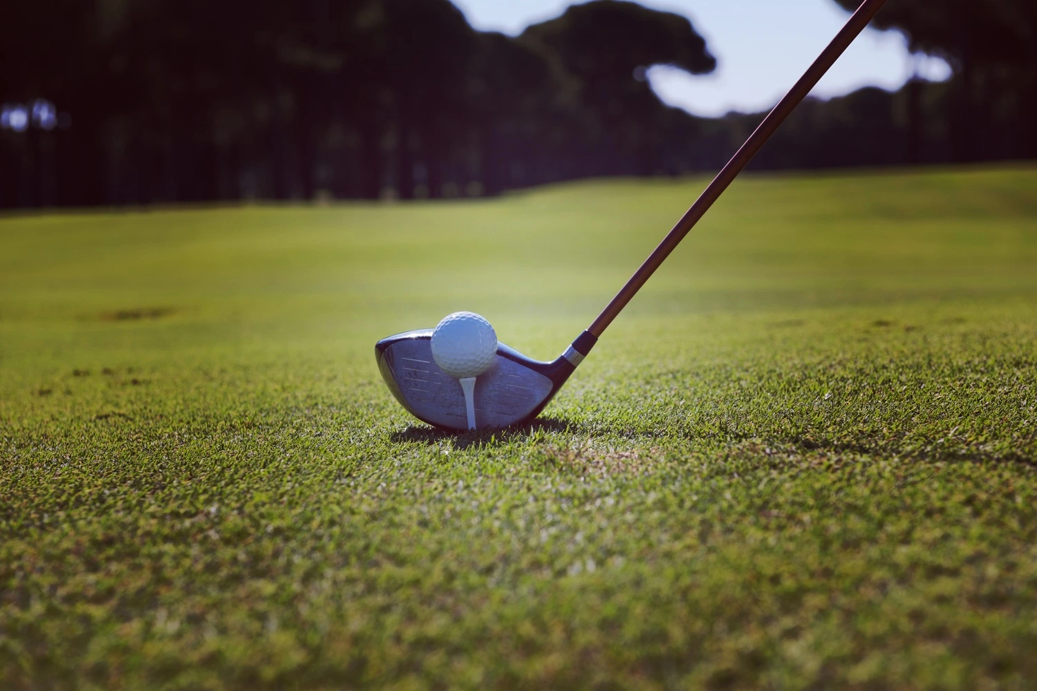 Ode to My 7-Wood: The Unexpected Love of My Golf Life
