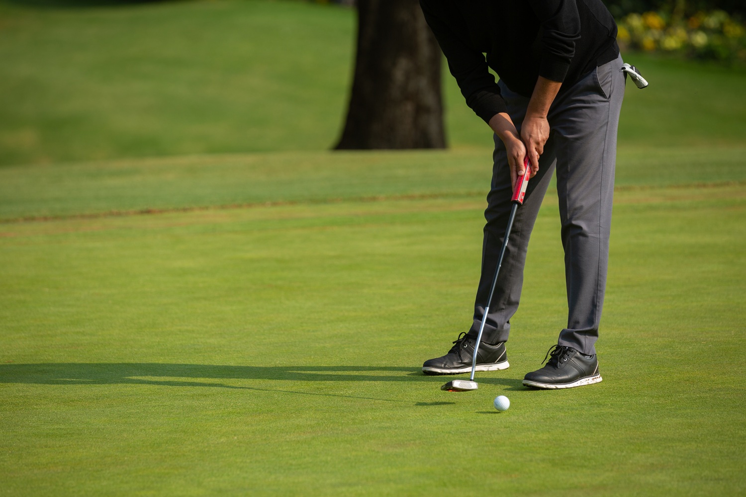 Scheffler’s Masterclass at Portrush as McIlroy Delights Home Crowd