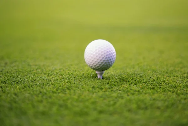 Golf ball on a tee on the fairway, highlighting golf ball choice for 18+ handicap golfers